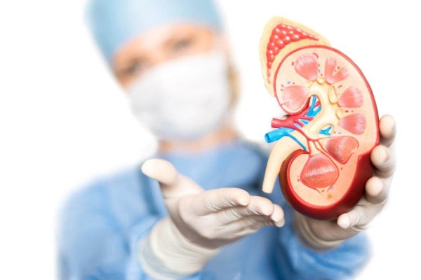 5 Perawatan Medis untuk Kesehatan Ginjal: Apa Saja Opsinya? 5 Perawatan Medis untuk Kesehatan Ginjal: Apa Saja Opsinya?