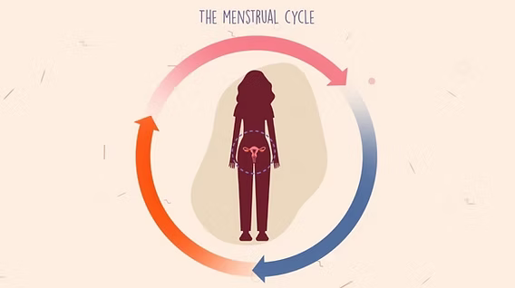 Memahami Siklus Menstruasi: 7 Tips Menjaga Kesehatan Hormon