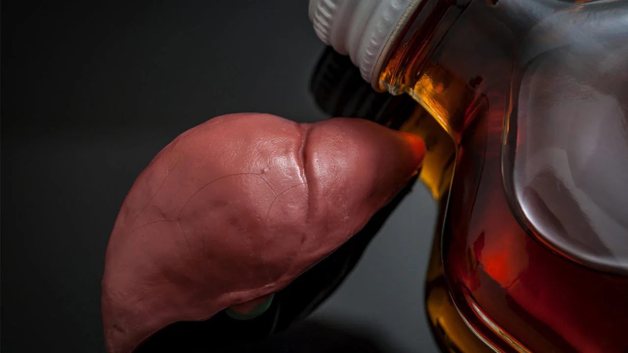 10 Tips Aman Konsumsi Alkohol Agar Tidak Merusak Hati